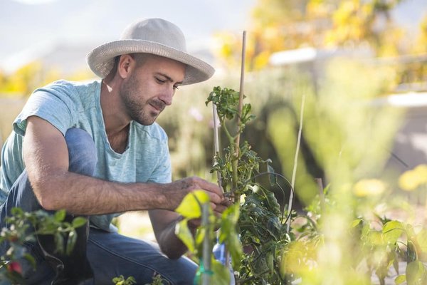 Les dernières tendances en matière de fitness à domicile